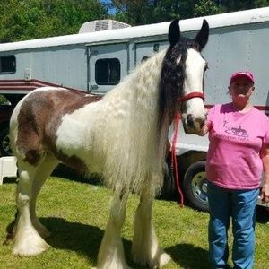 Meet your Posher, Lynn